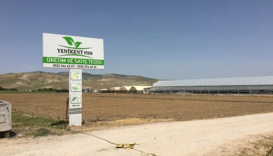 Ankara Yenikent Fide – Modern Üretim Tesisi Kurulumu