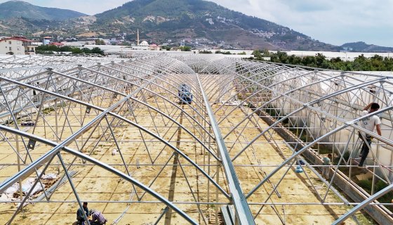 Yaprak Fide Kapasite Artırımı ve Ek Modern Sera Kurulumu